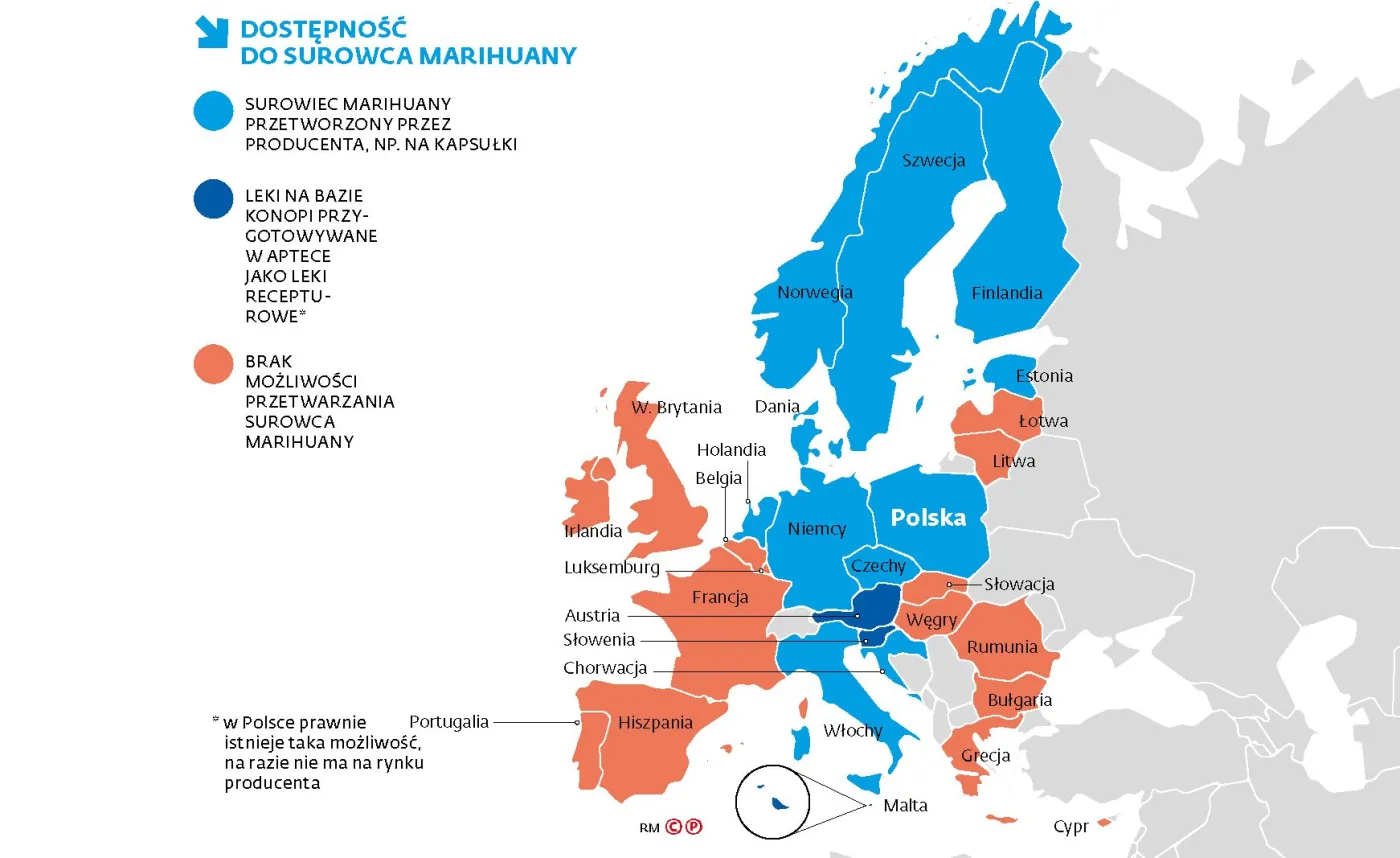 Polska z dostępem do konopi. Eksperci: w praktyce jest to niemożliwe