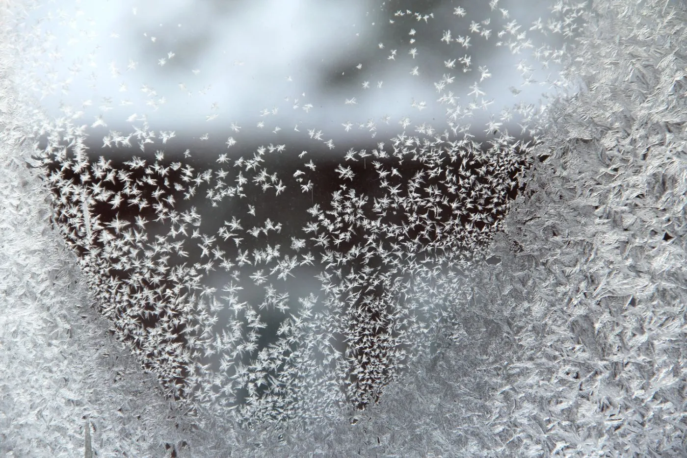 Temperatury tak dotkliwe, że niektóre szkoły odwołują lekcje. Wschodnia Polska w okowach mrozu