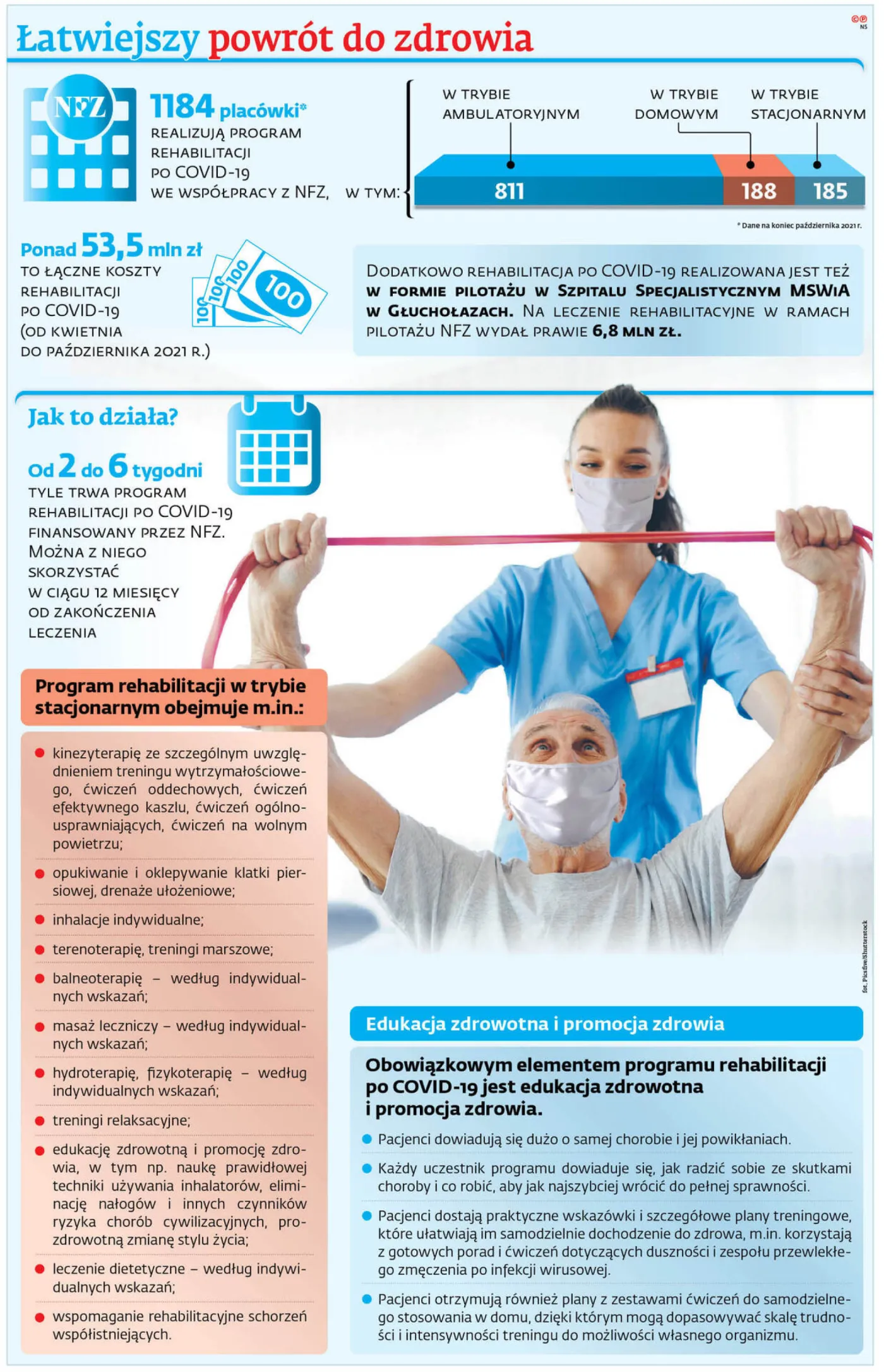 nfz grafika