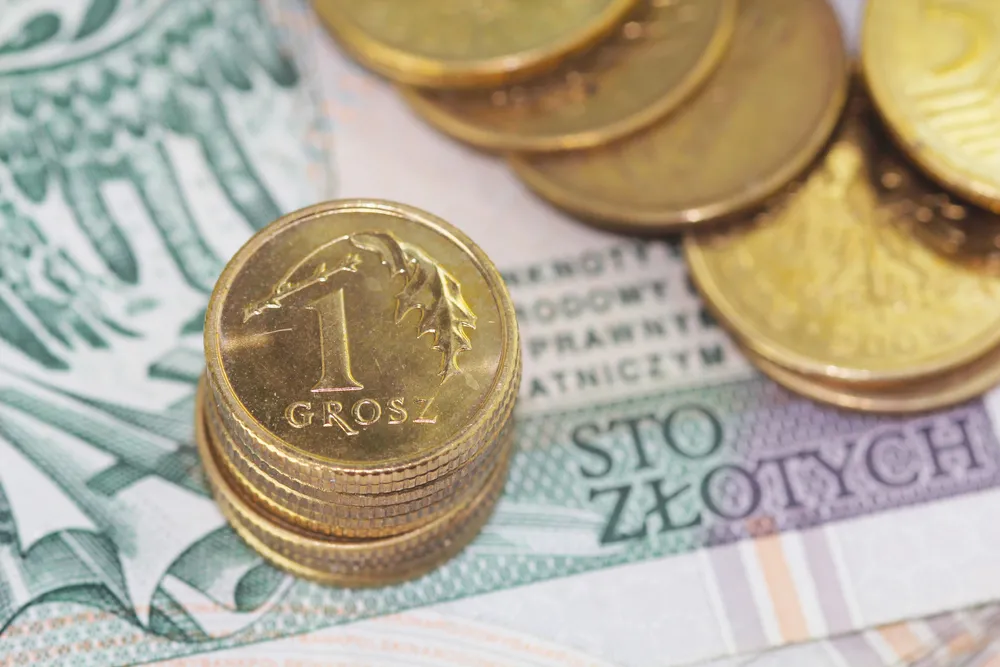 Zgorszeni groszami: Firmy nie muszą zarabiać na dobroczynności, ale chcą