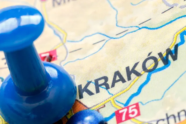 Śnięte ryby w stawie w Krakowie. Wstępne badania nie wykazały chemicznego skażenia
