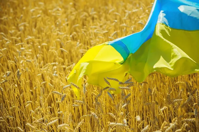 Po odbiciu Wyspy Węży Ukraina rozpoczyna eksport zboża przez porty na Dunaju