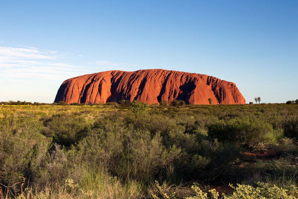 Morderstwo w świątyni, czyli kilka słów o książce „Powrót do Uluru”