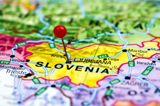 Były premier Słowenii wezwał obywateli do "legalnego dozbrajania się" w związku z napływem imigrantów