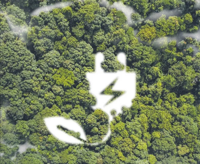 Finansowanie OZE teraz z unijną gwarancją