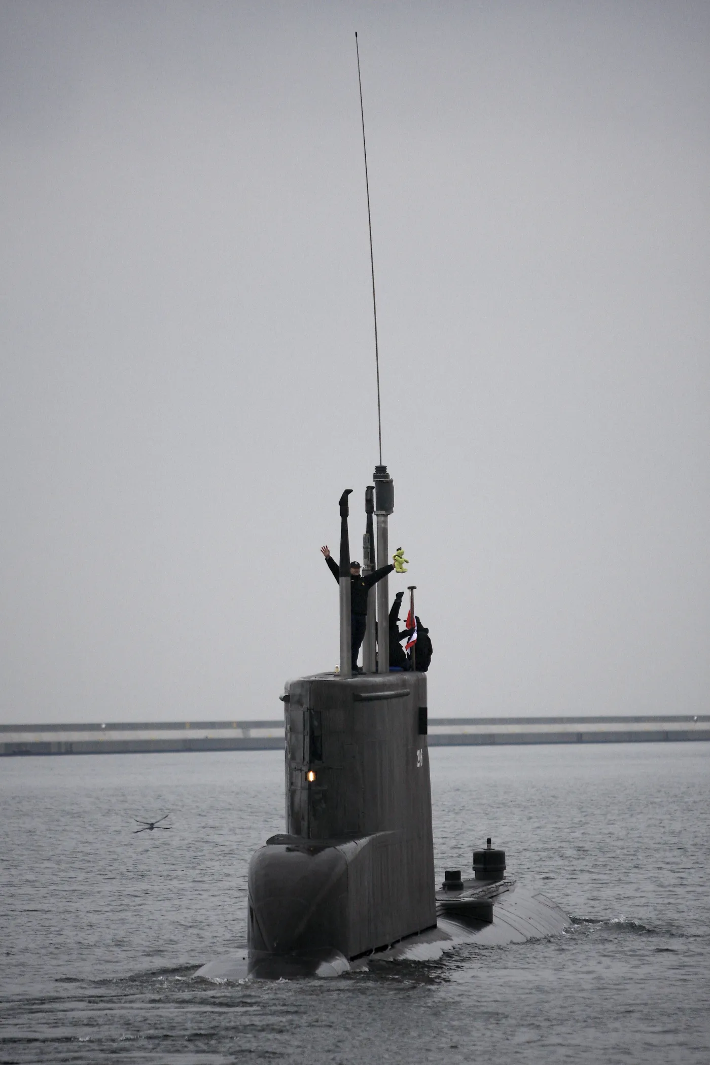 bielik6_276820.jpg