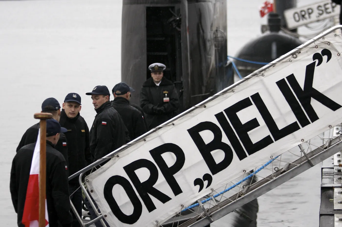 bielik3_276785.jpg