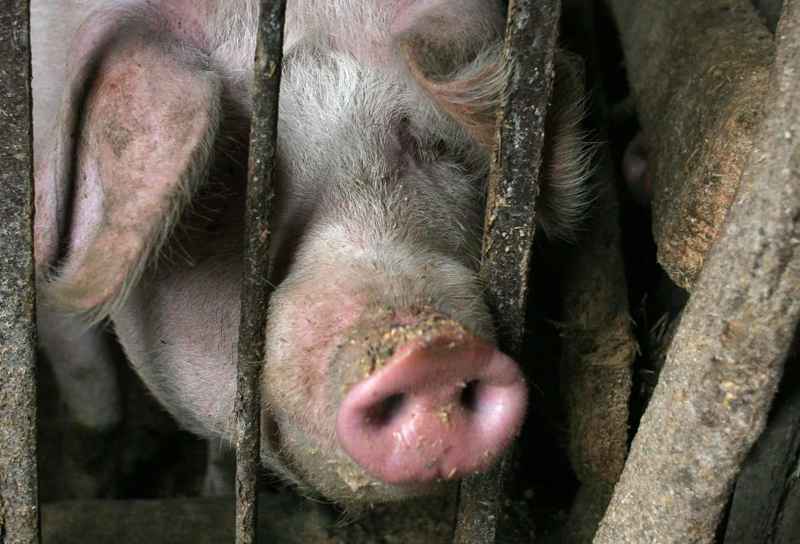 1 grudnia rusza wypłata dopłat bezpośrednich. Prawie 1,3 mln rolników otrzyma ponad 14 mld zł