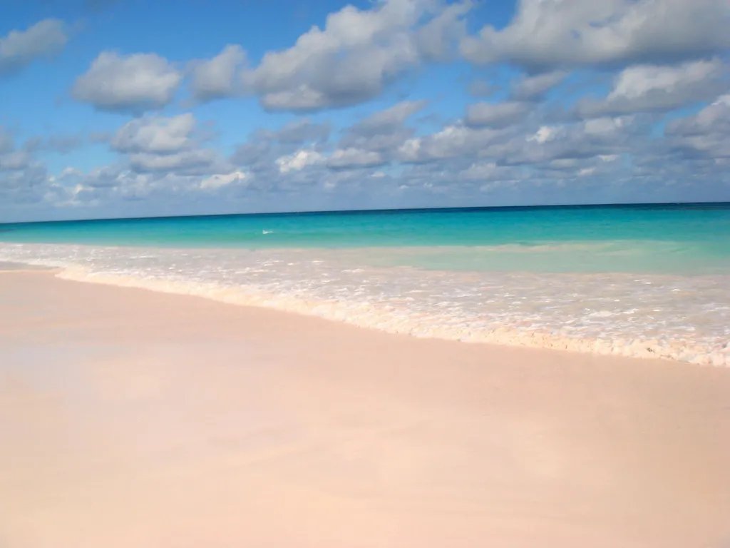 1050845-pink.jpg