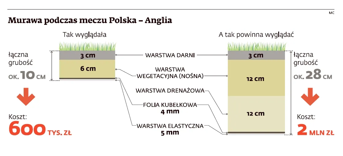 Murawa podczas meczu Polska - Anglia