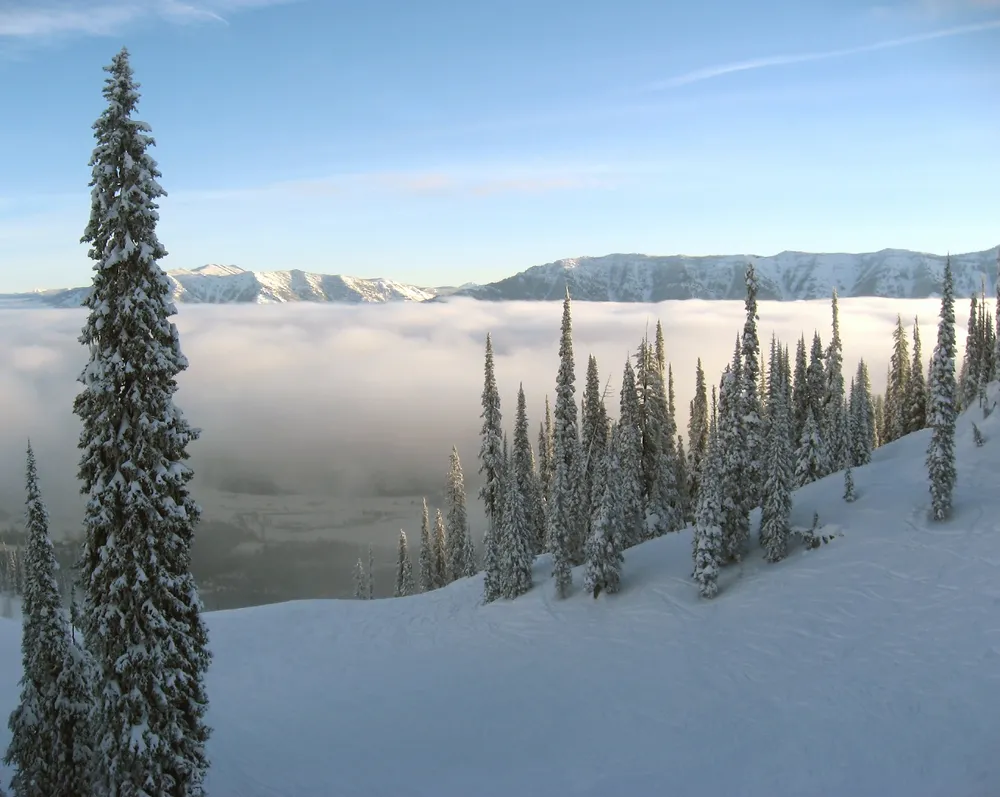 1104643-fernie.jpg