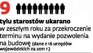 1137481-wykres.jpeg