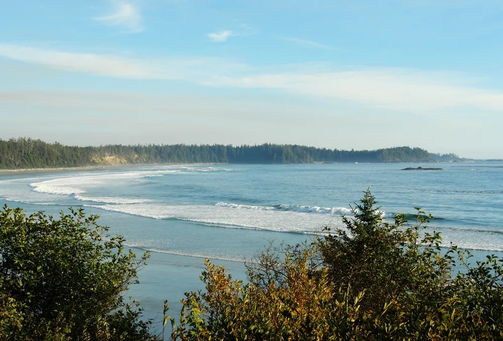 1220834-tofino.jpg