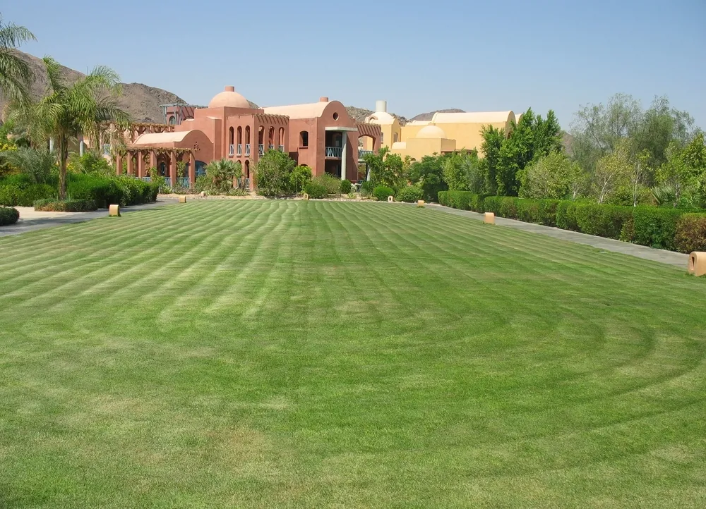 1248479-taba.jpg