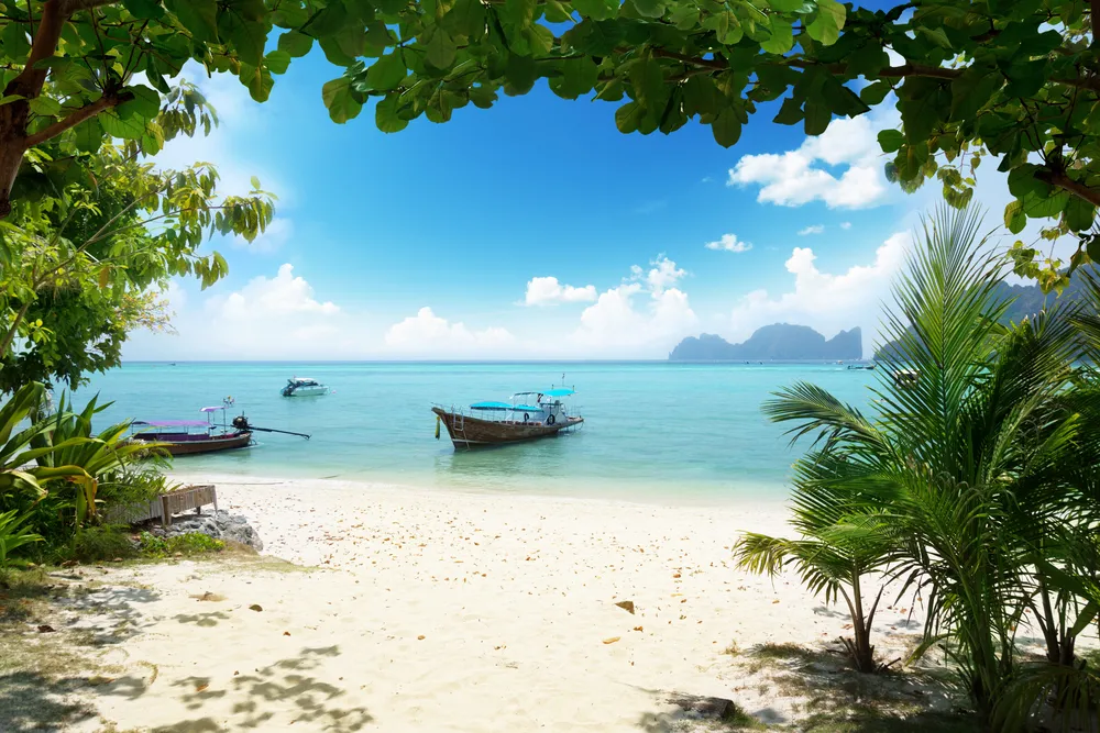 1258383-phi-phi.jpg