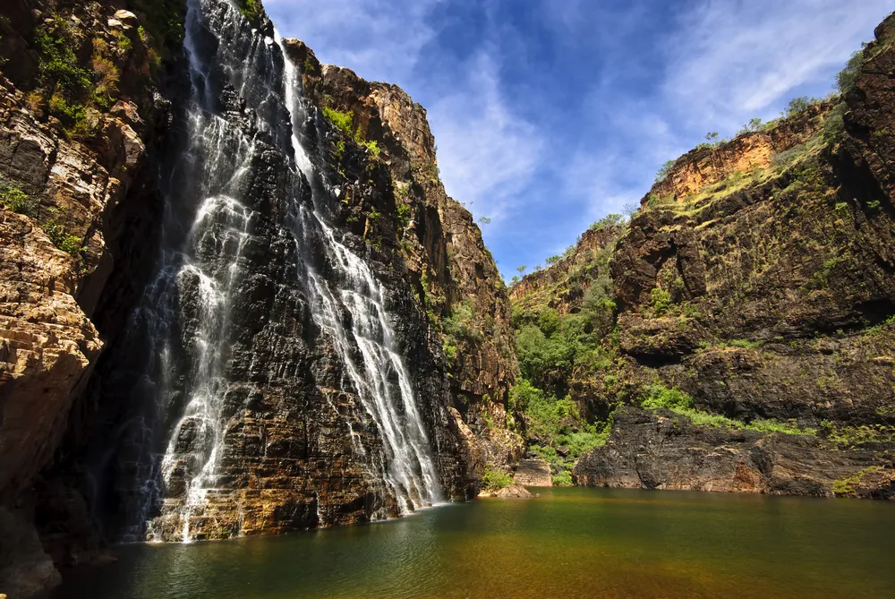1276407-kakadu.jpg
