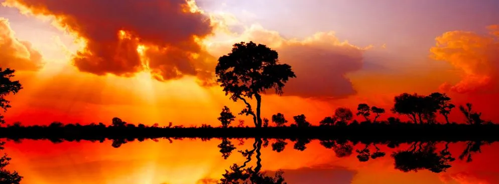 1276423-kruger.jpg