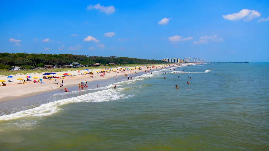 788883-myrtle.jpg