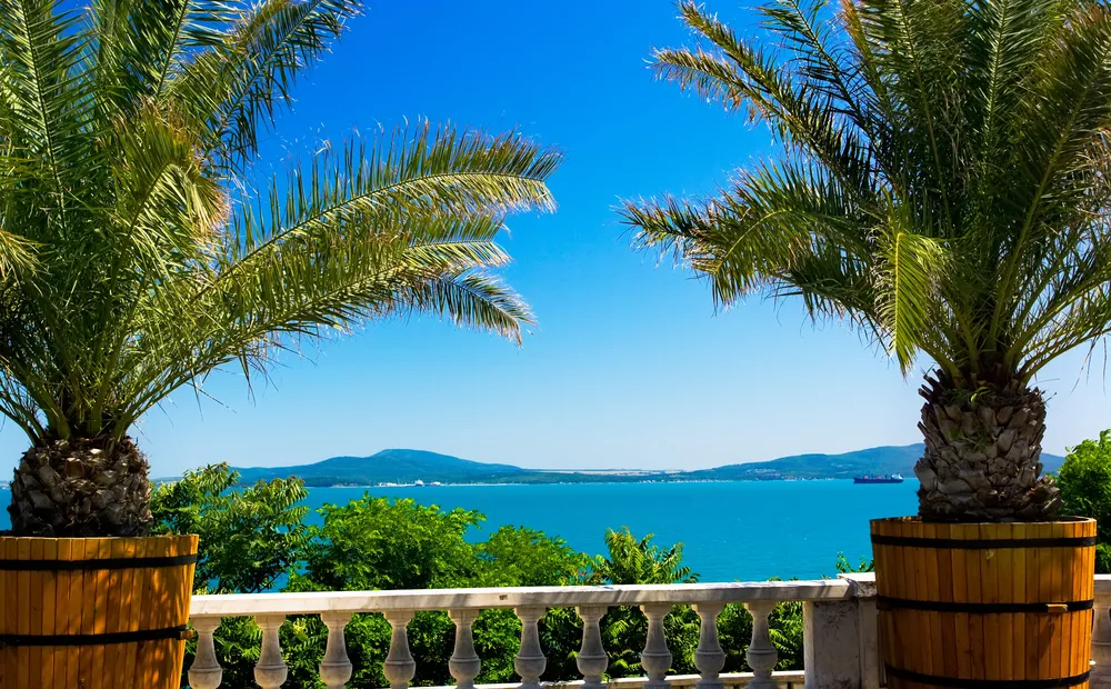 917109-burgas.jpg