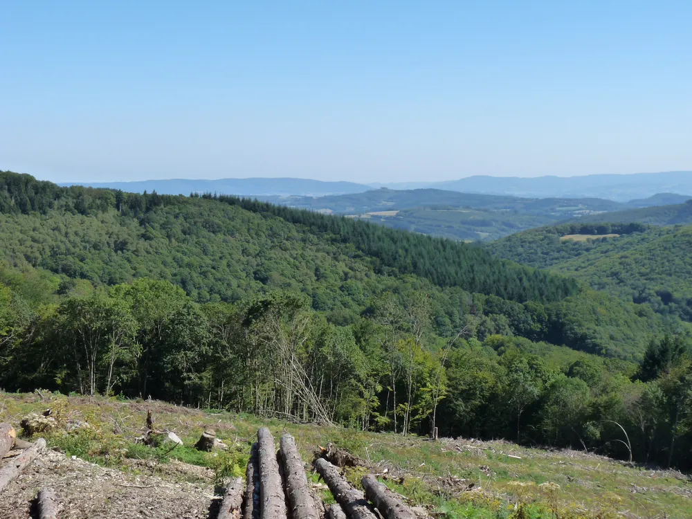1567173-morvan.jpg