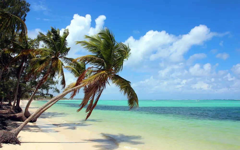 1651025-bavaro.jpg