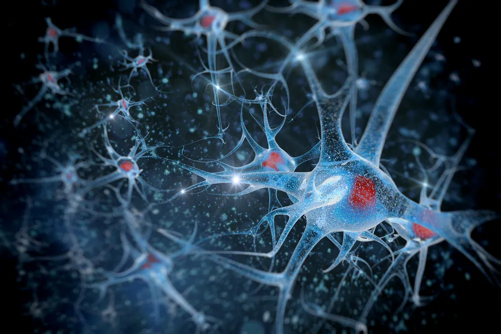 1699317-neuron.jpg
