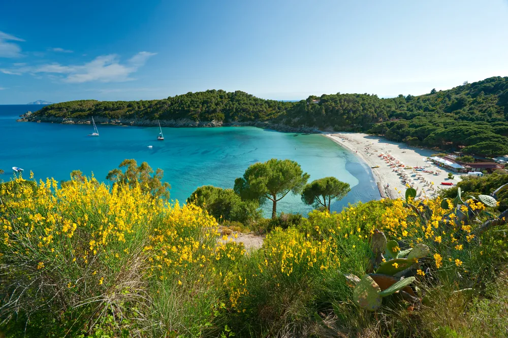 1363915-elba.jpg
