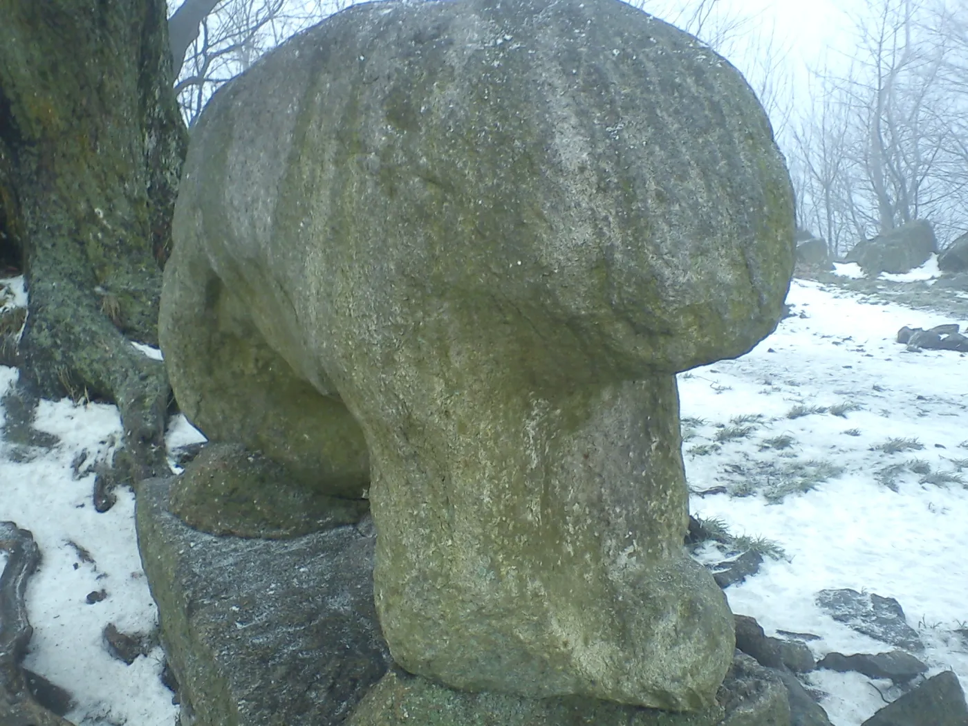 2129338-sleza.jpg