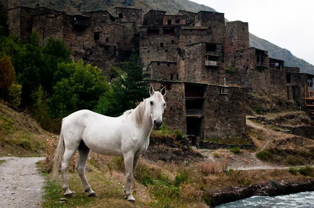 2163684-gruzja.jpg