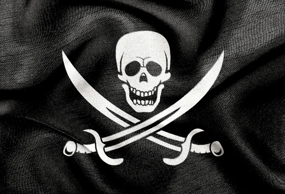 Polska policja pomogła w zatrzymaniu współtwórcy Pirate Bay