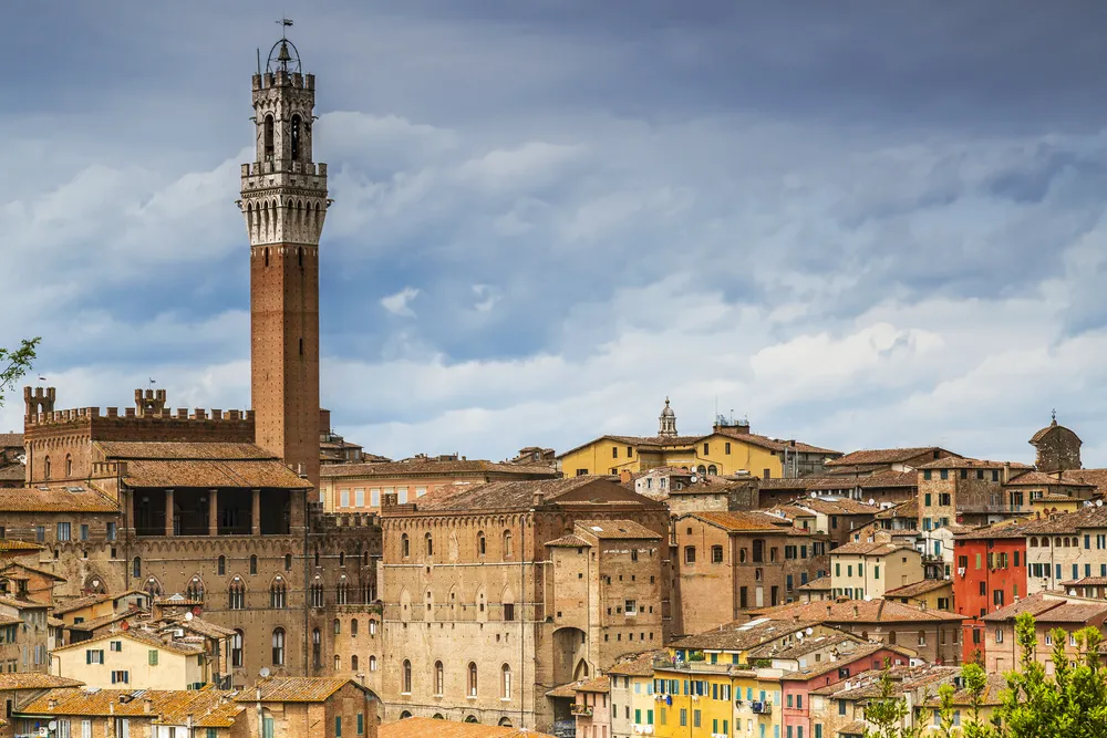 2603914-sienna.jpg