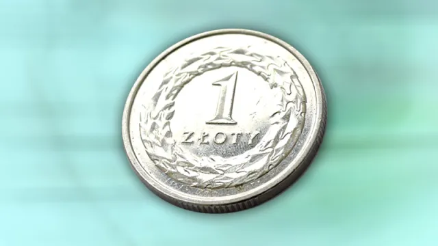 Chrzanowski: Płynny kurs złotego to bufor, który może nas oddzielić od kryzysu