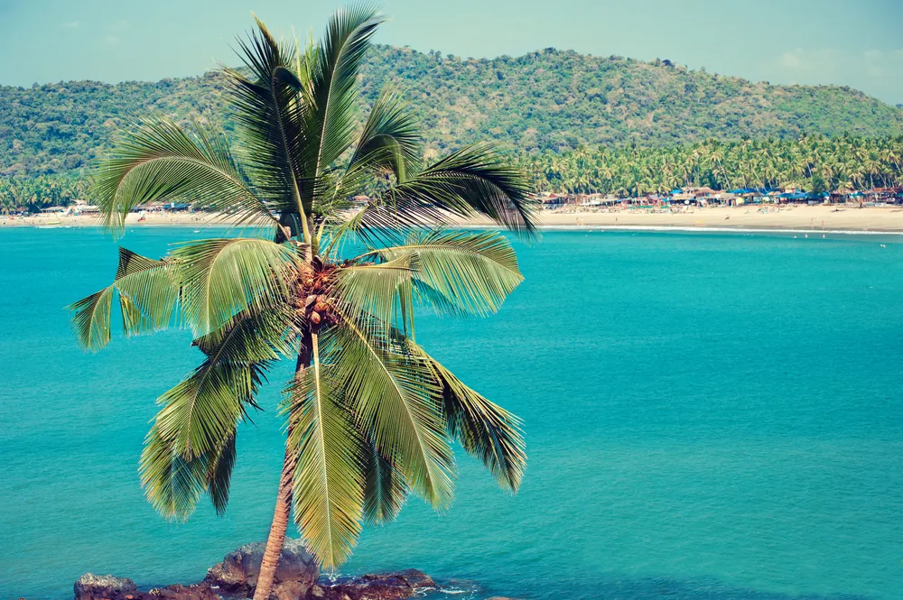 Goa w Indiach
