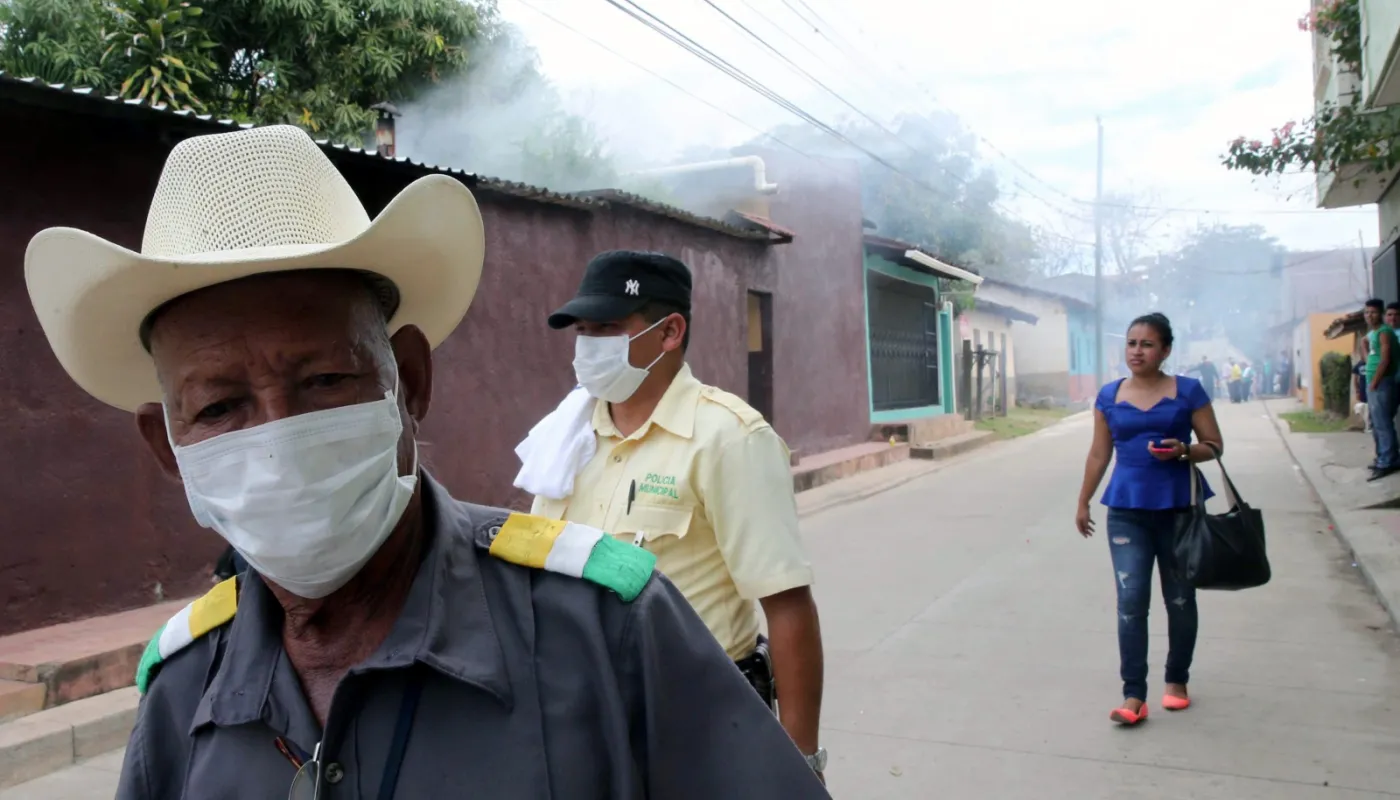 WHO przygotowuje Europejczyków na epidemię. Zika wywołał panikę, która jest całkowicie nieuzasadniona