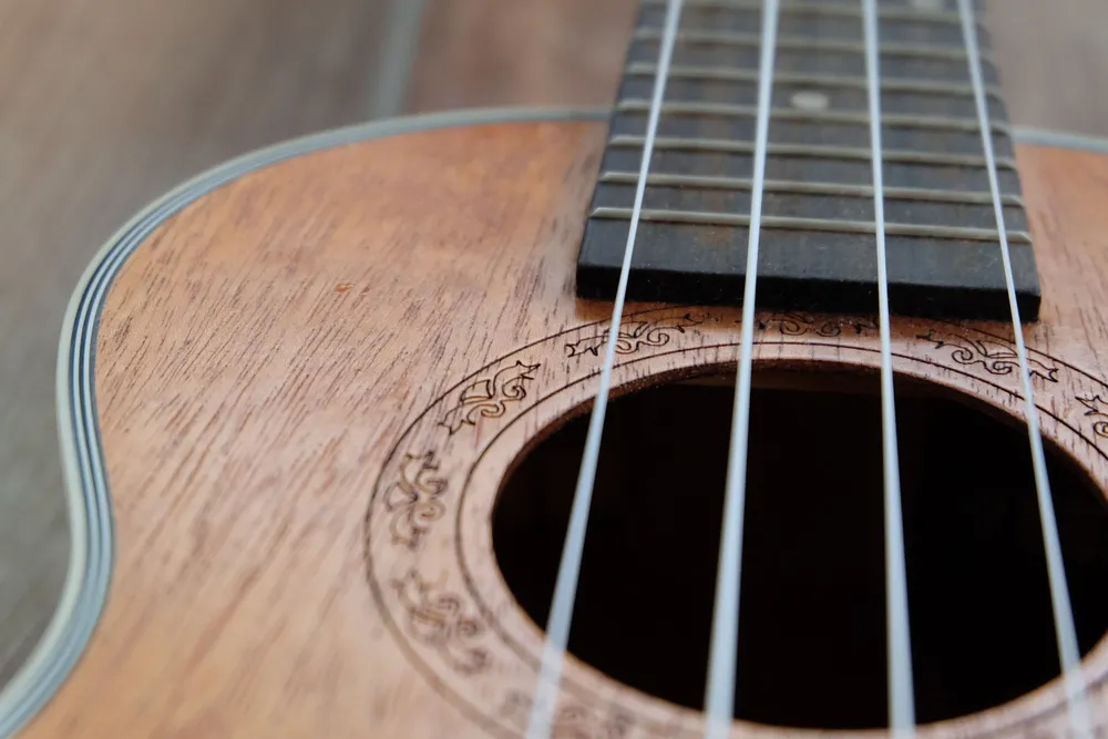 Pierwszy w Poznaniu festiwal ukulele rusza 4 sierpnia