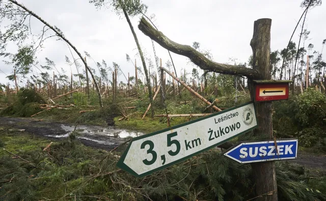 Obozy pod lupą kontrolerów. Harcerze nie chcą stać się kozłem ofiarnym tragedii