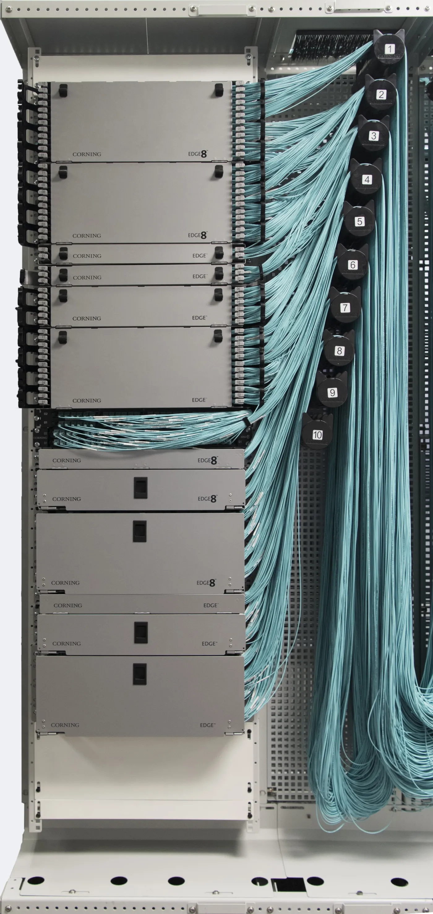 3093795-plus3.jpg