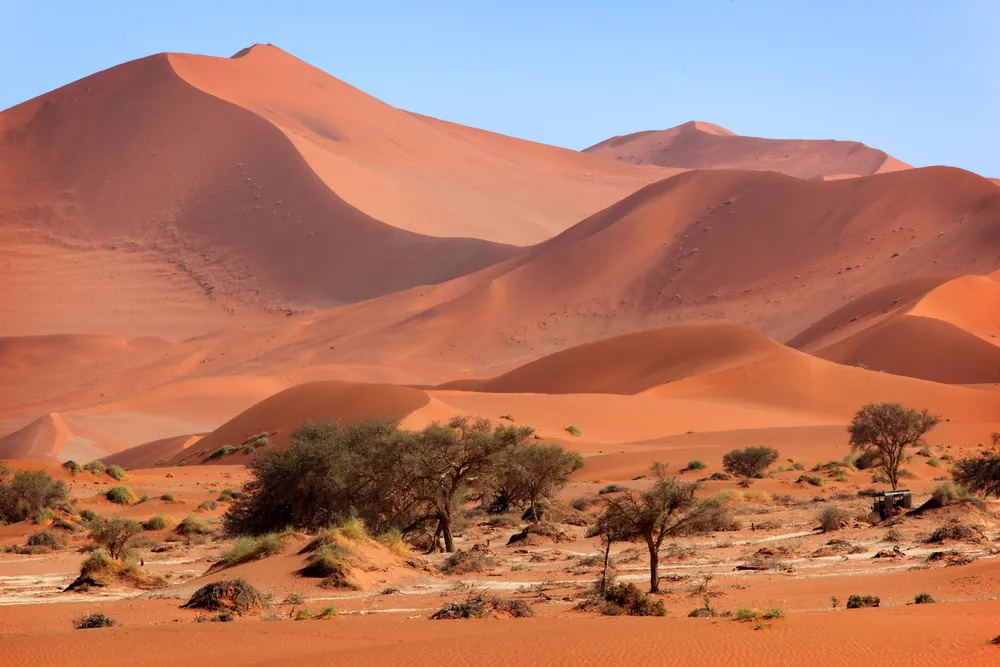 Brzemię Namibii: Afrykanie wiedzą jak walczyć o prawdę historyczną