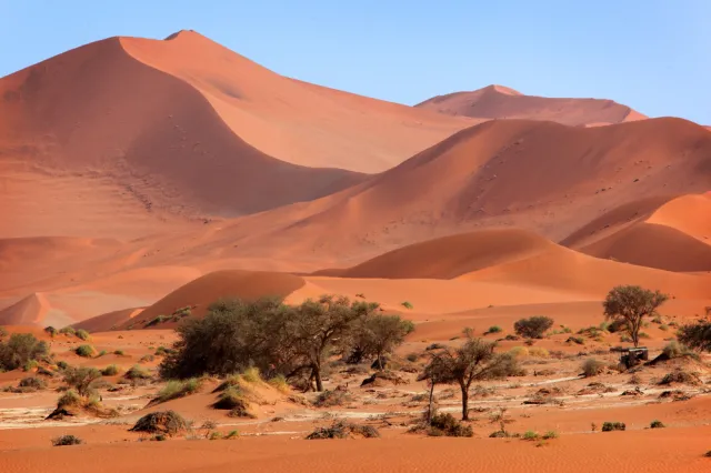 Brzemię Namibii: Afrykanie wiedzą jak walczyć o prawdę historyczną