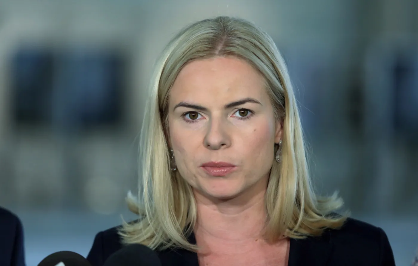 Schmidt: W Polsce potrzebna jest nowa partia