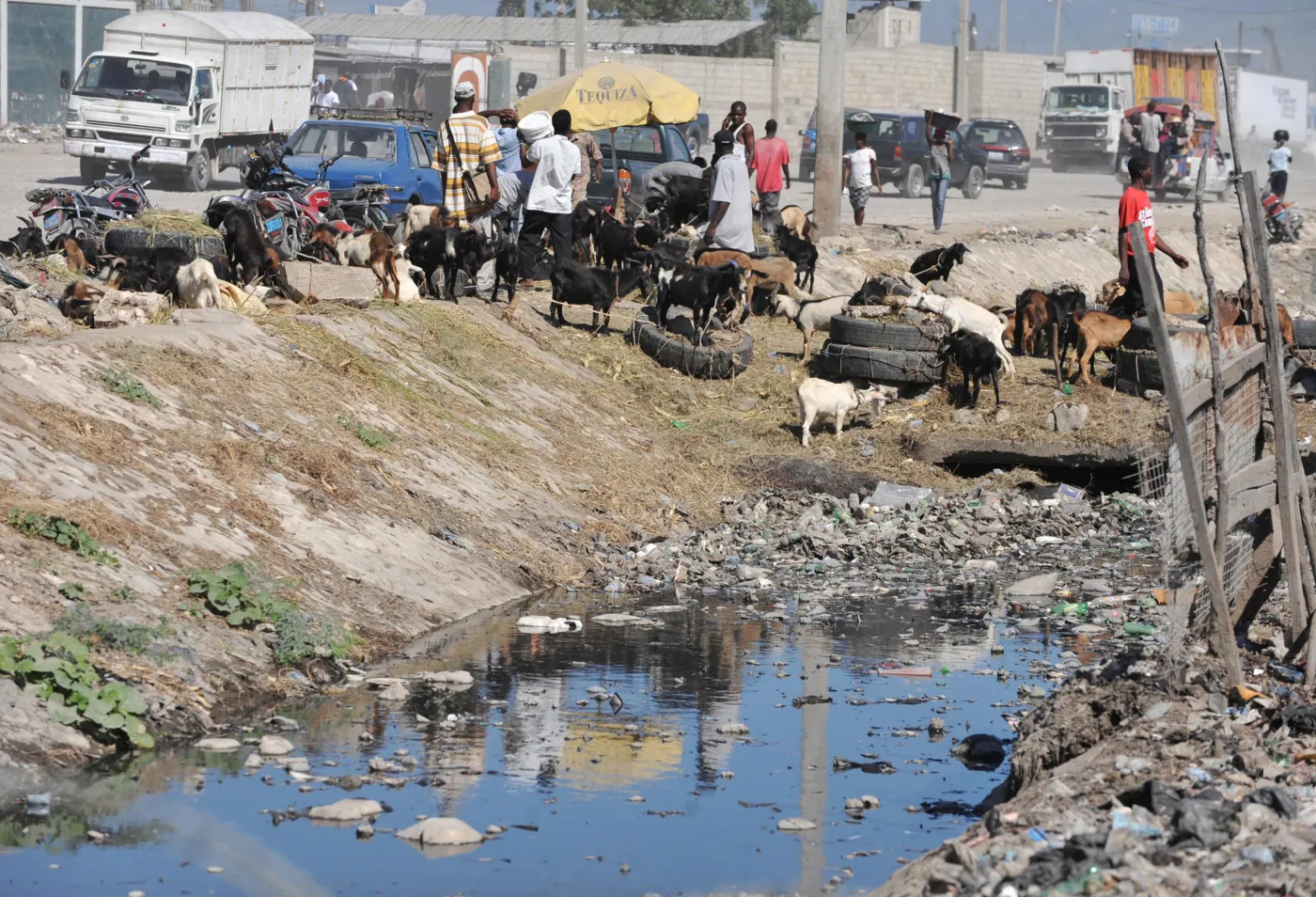 Haiti: Co najmniej 11 osób zginęło w trzęsieniu ziemi