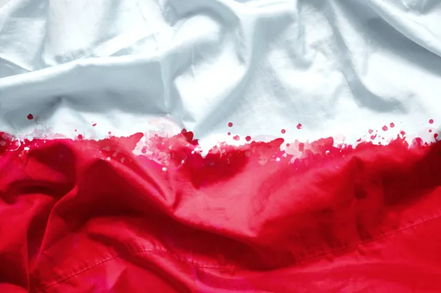 Wiecznie podzieleni. O co spierali się Polacy w czasach powstania listopadowego i styczniowego