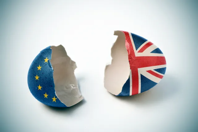 Kontrole, inspekcje i nadzieja na wielkie pieniądze. Jak państwa chronią się przed twardym Brexitem