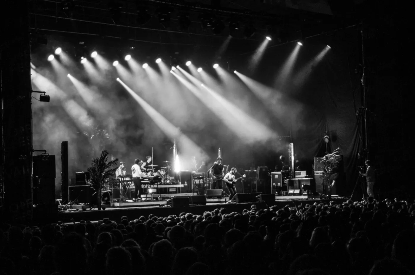 4284900-foals.jpg