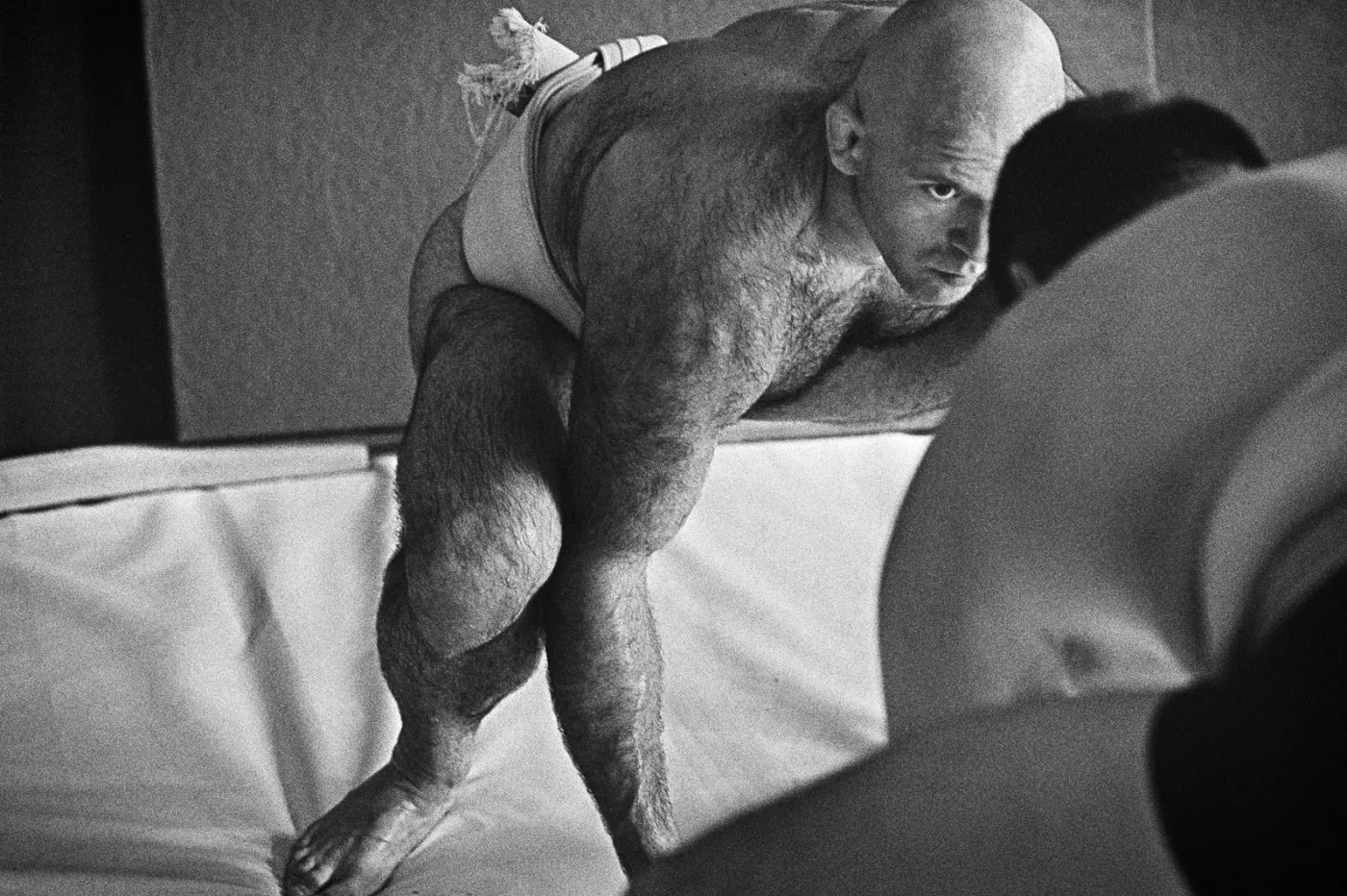 Polskie sumo