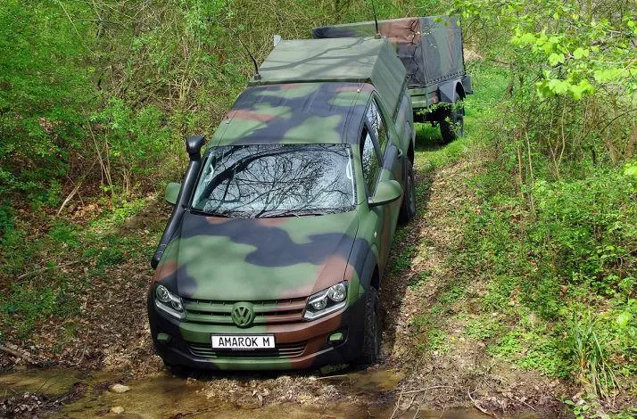 3649253-6.jpg