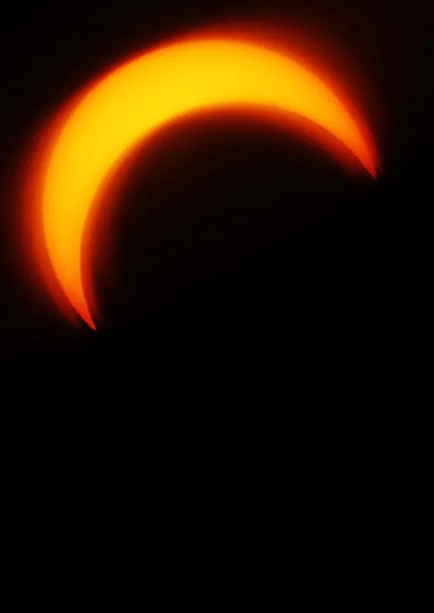 3528598-.jpg