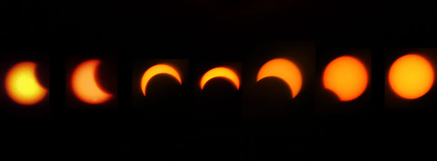 3528652-.jpg