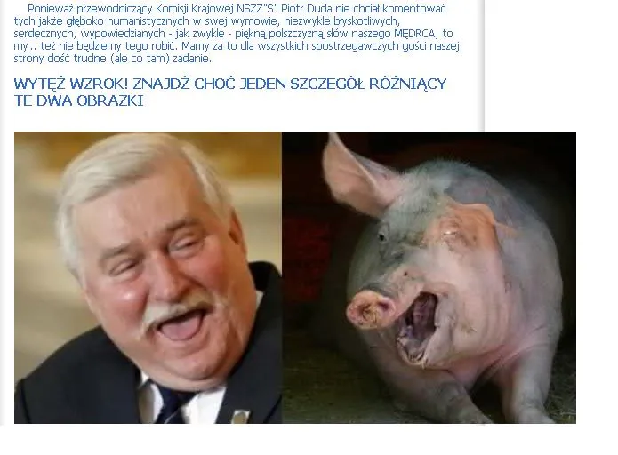  Wałęsa i świnia na stronie Solidarności