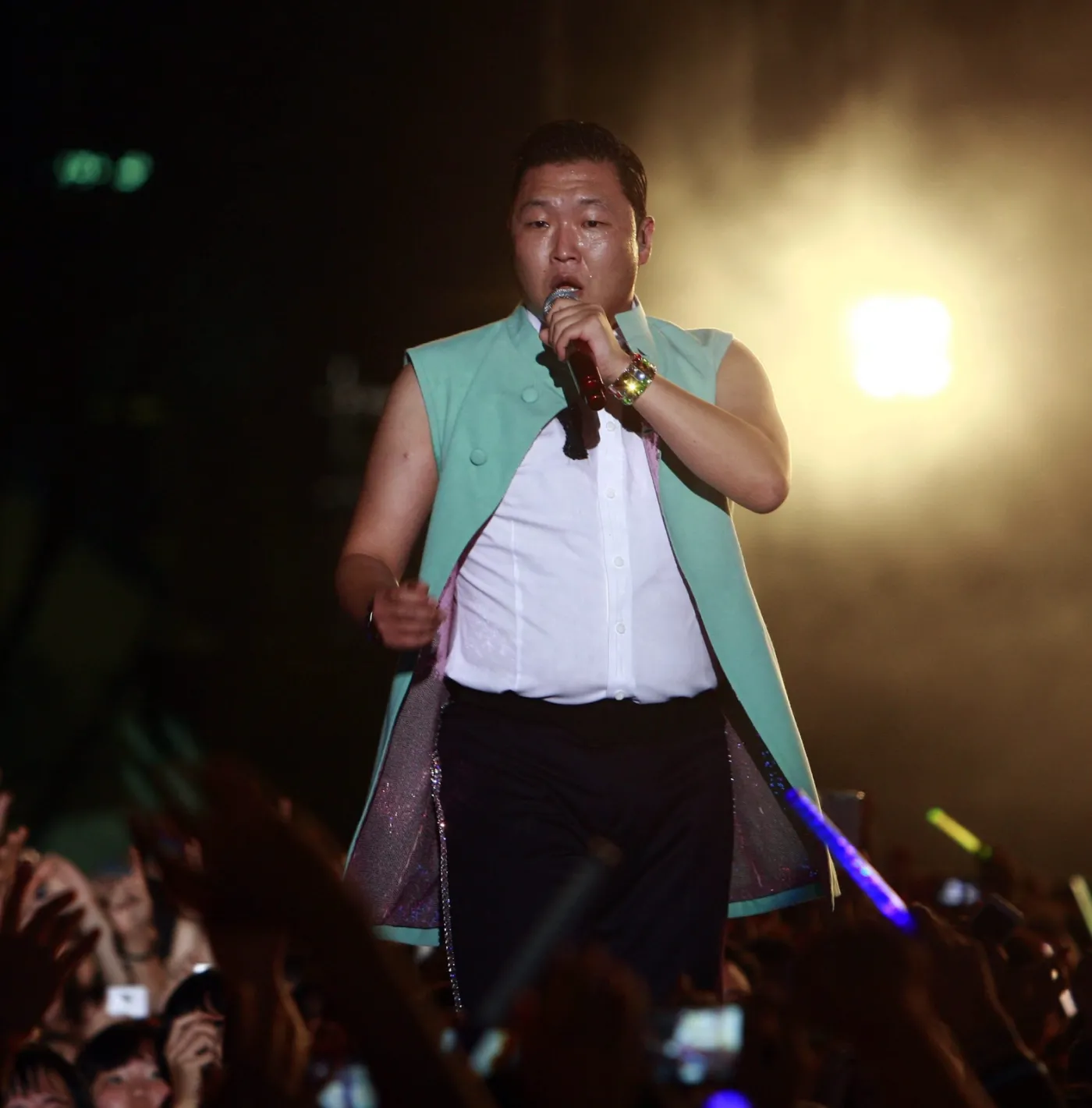 4133042-psy.jpg